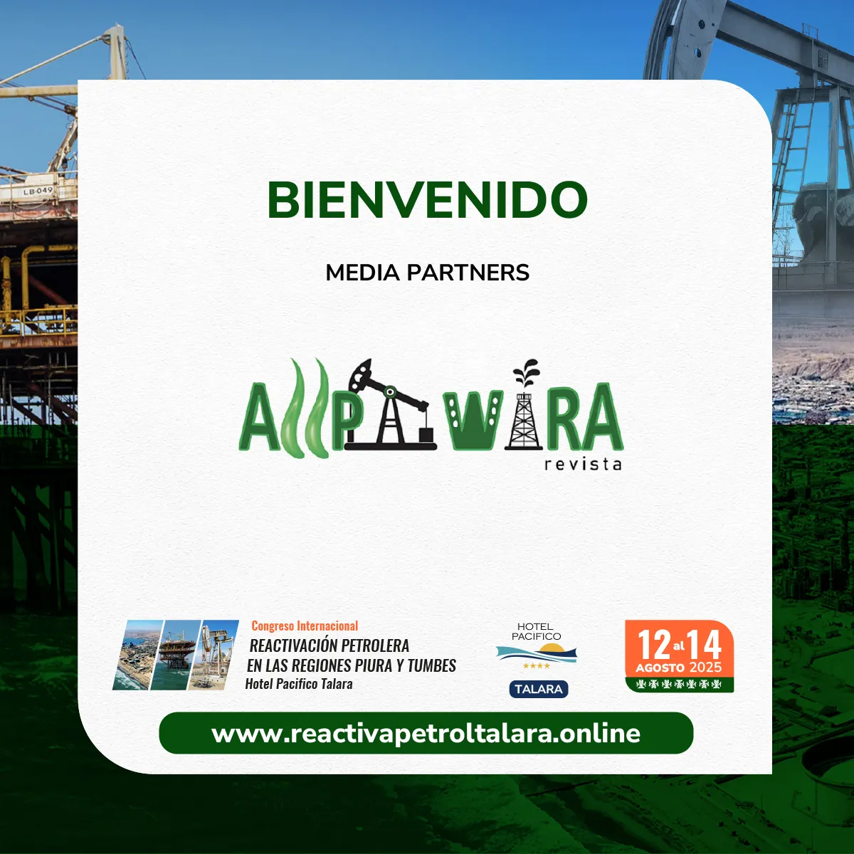 Media Partner 6