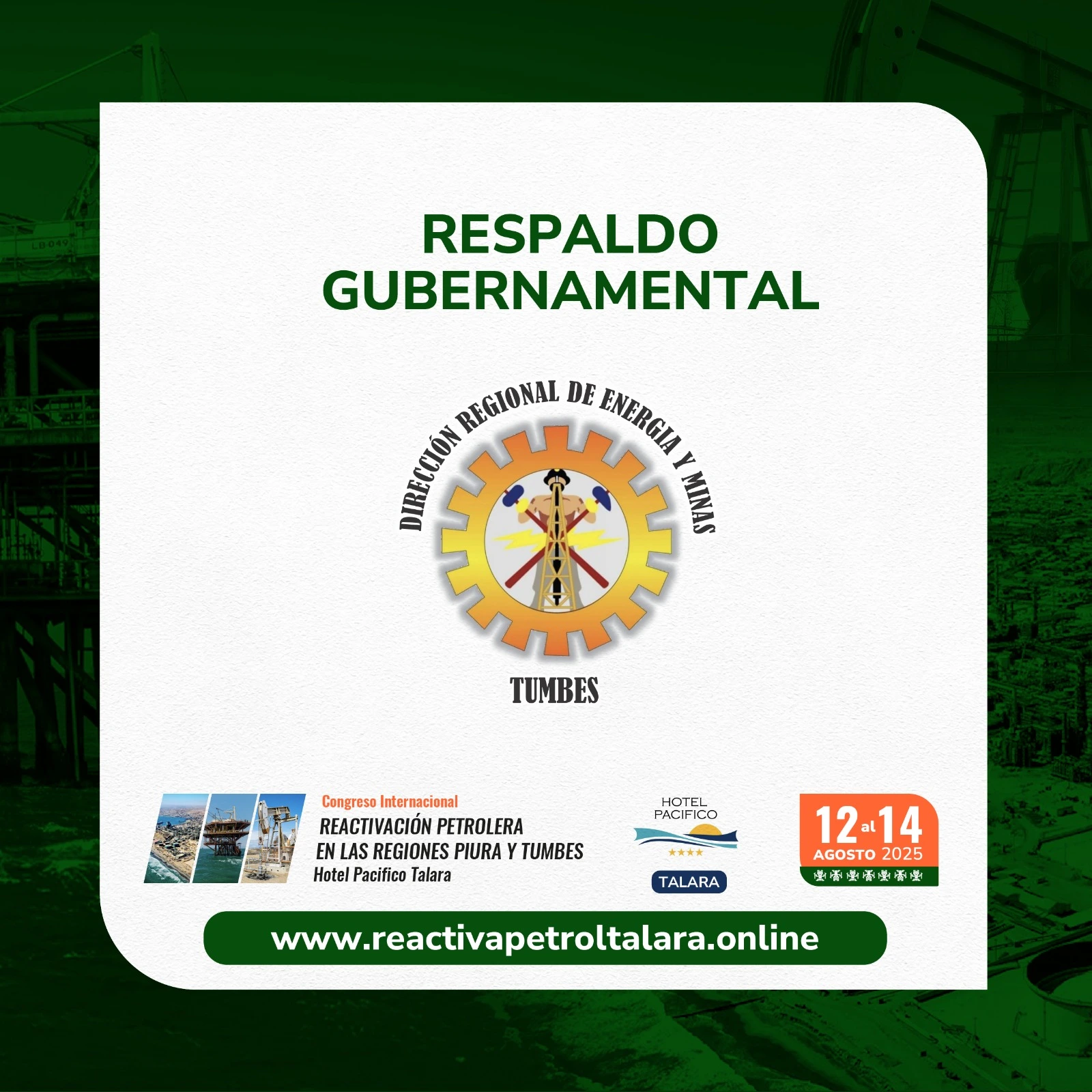 Respaldo Gubernamental 2