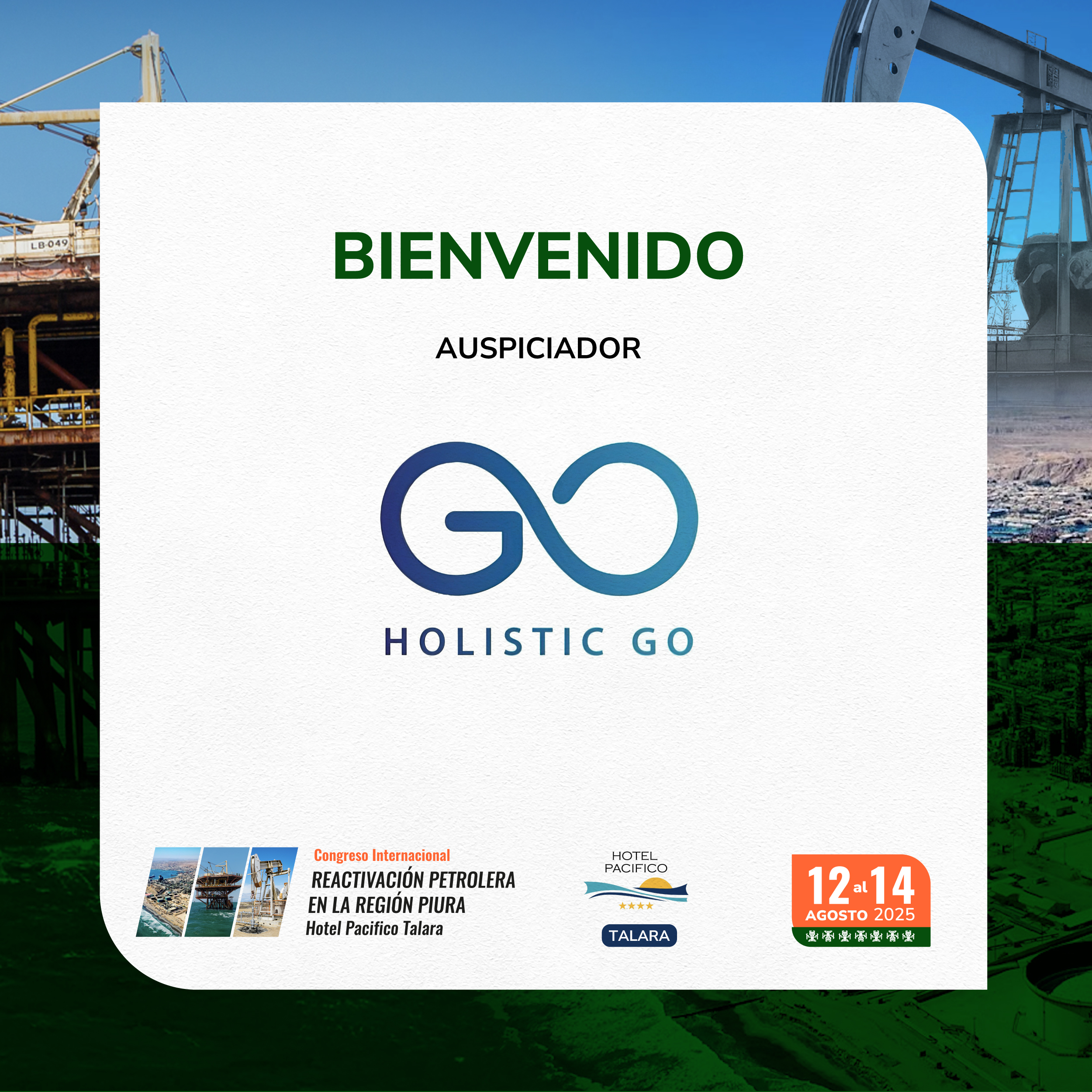Holistic Go