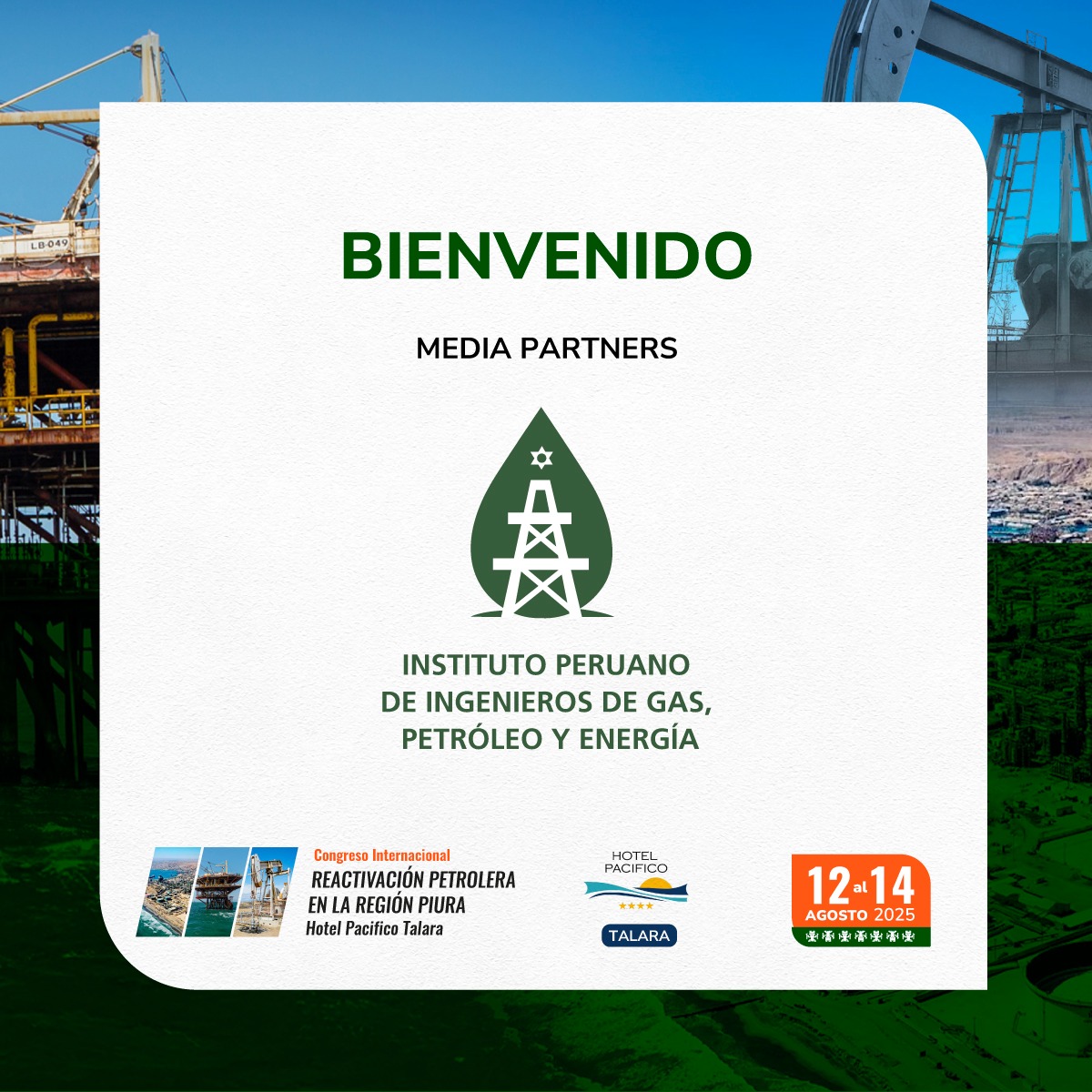 Media Partner 11
