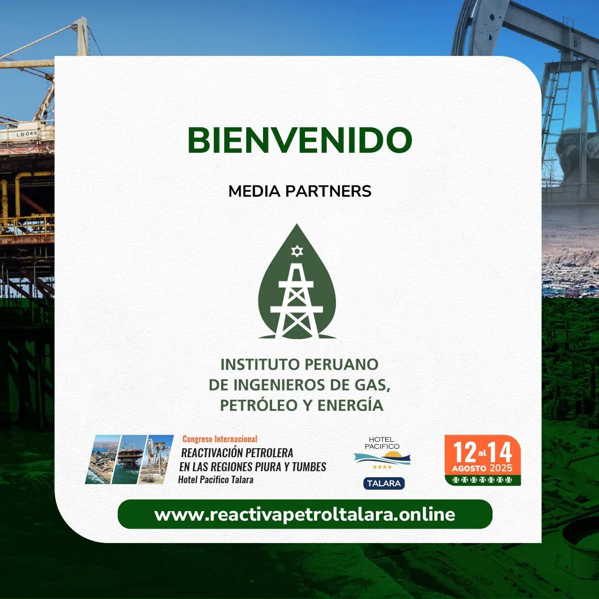 Media Partner 11