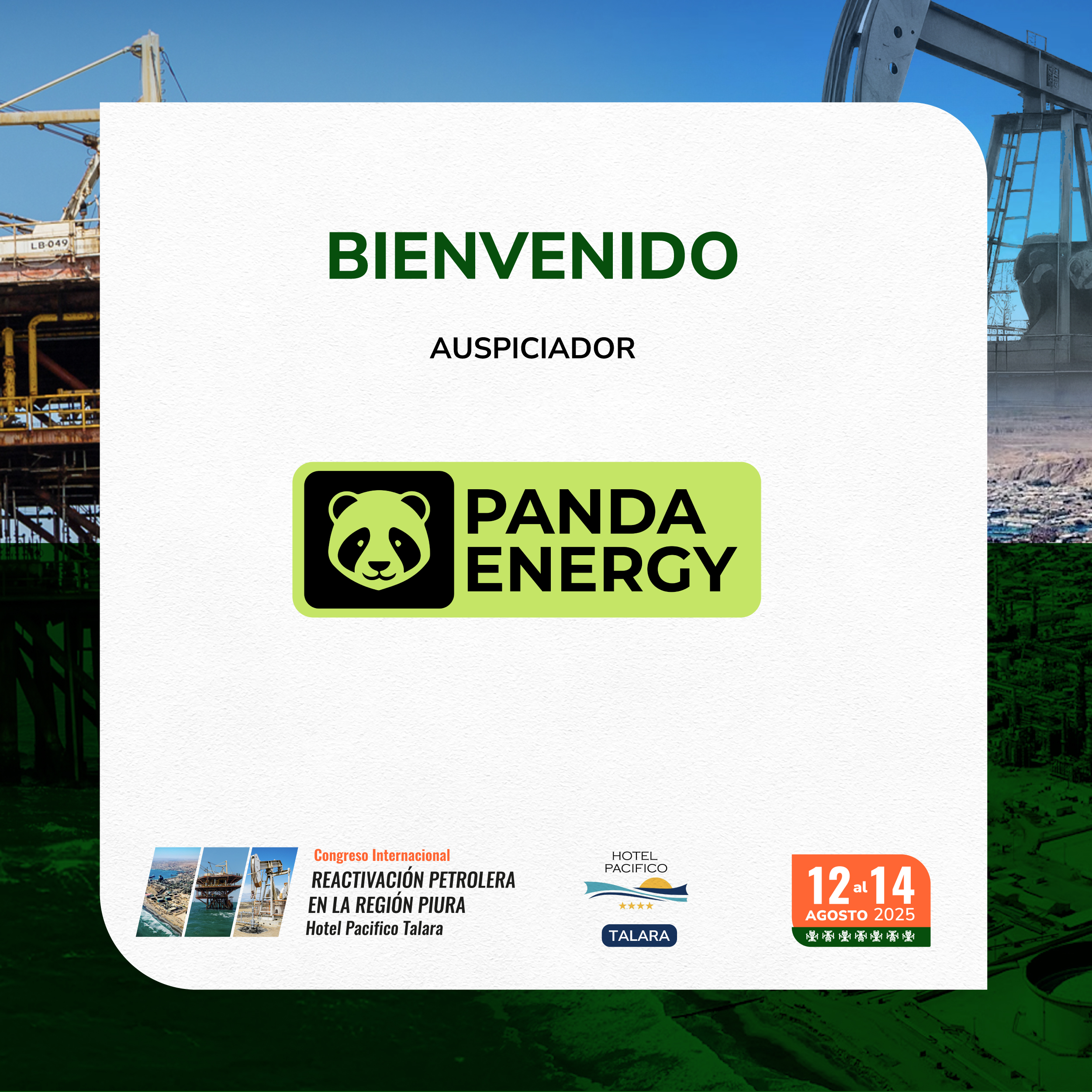 Panda Energy
