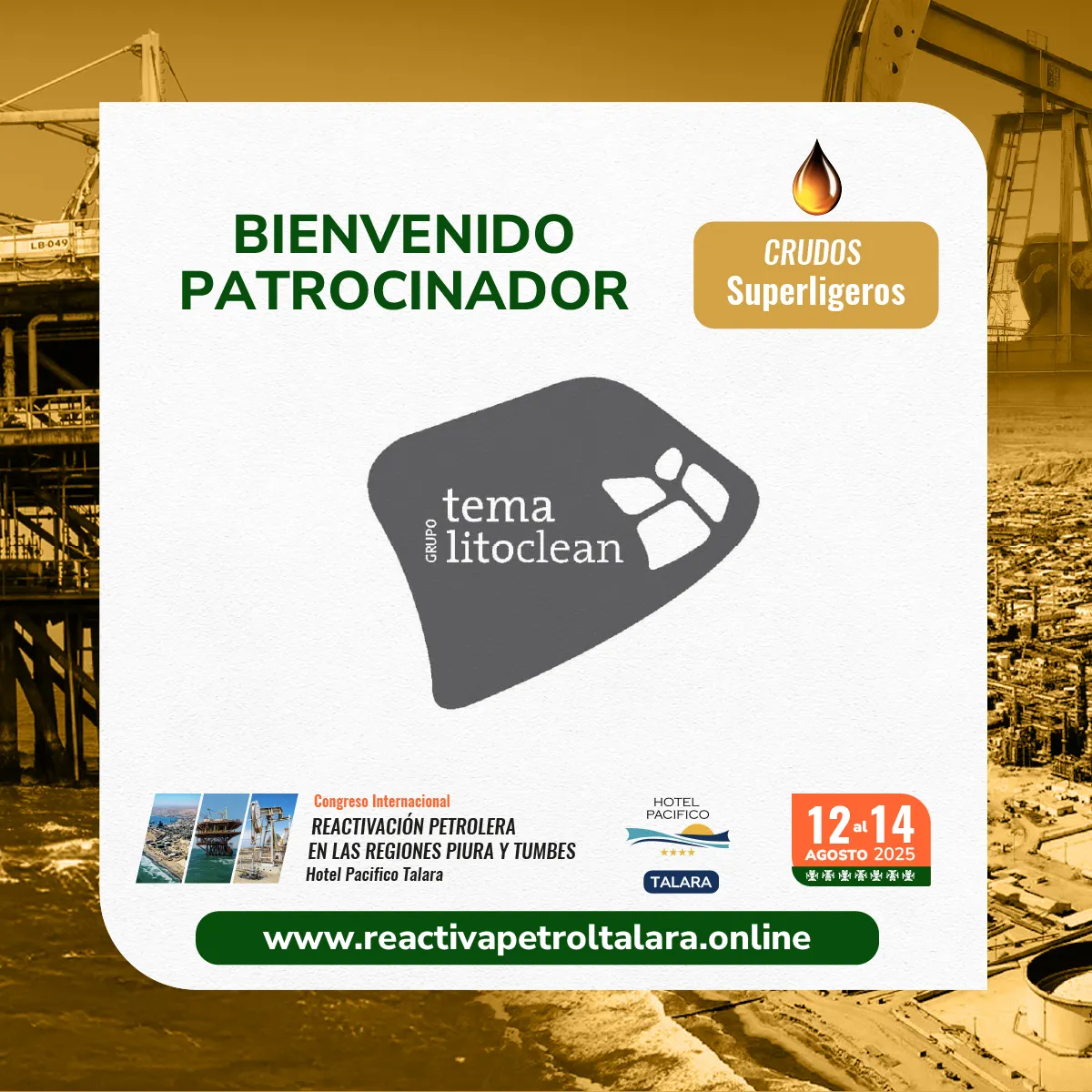 Vice Versa Consulting