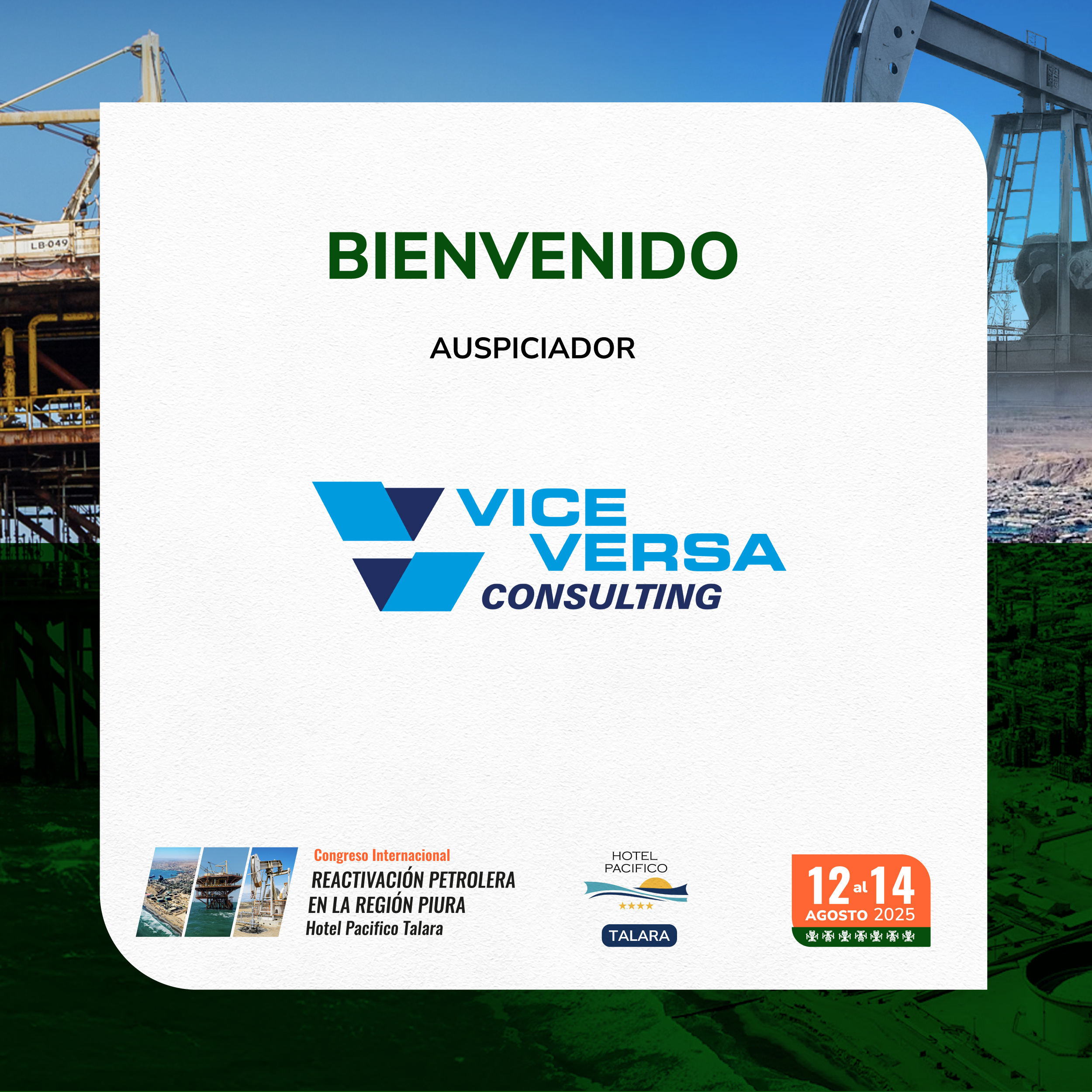 Vice Versa Consulting